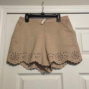 VELVET WAIST SHORTS